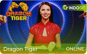 Indogg Dragon Tiger